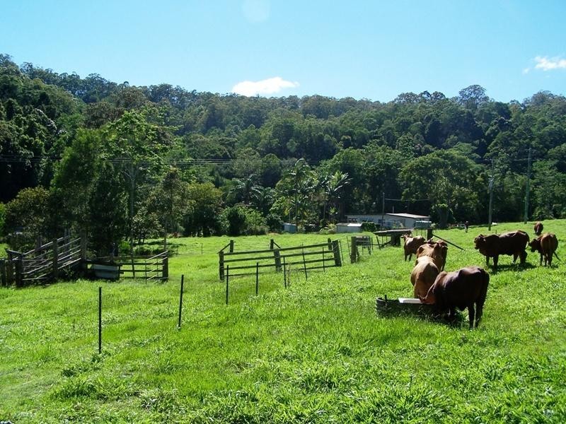 128 Syndicate Road, Tallebudgera Valley QLD 4228