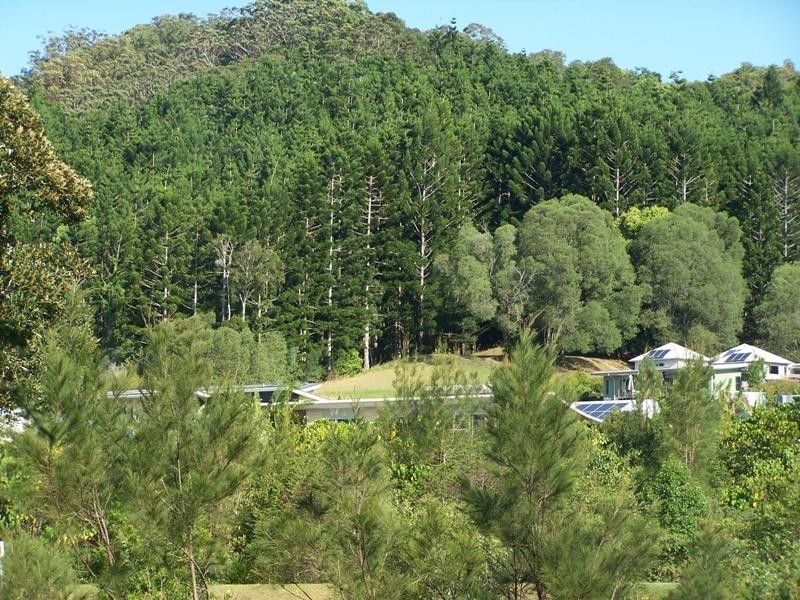 6 Mooligum Way, Currumbin Valley QLD 4223