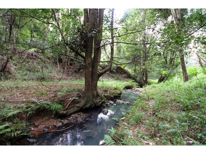 Lot 308 Wongaree Way, Currumbin Valley QLD 4223
