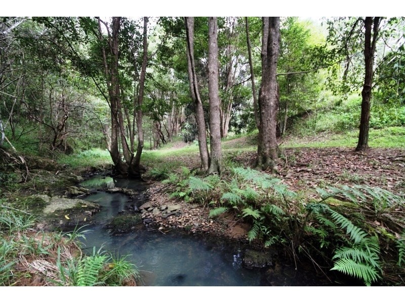 Lot 308 Wongaree Way, Currumbin Valley QLD 4223