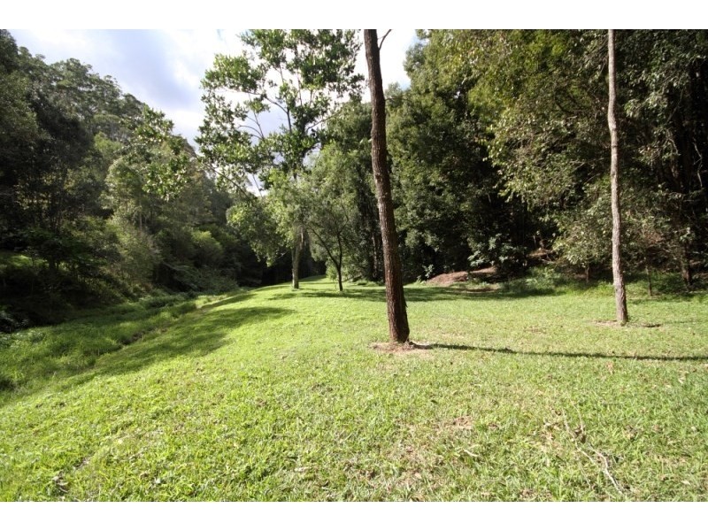 Lot 308 Wongaree Way, Currumbin Valley QLD 4223