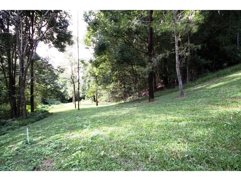 Lot 308 Wongaree Way, Currumbin Valley QLD 4223