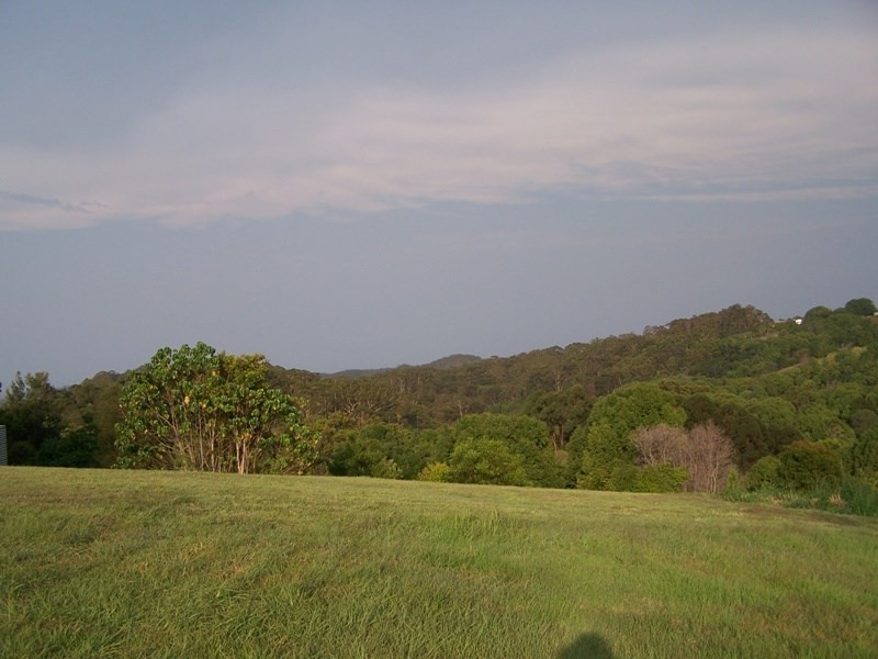 Lot 320 Warri Way, Currumbin Valley QLD 4223