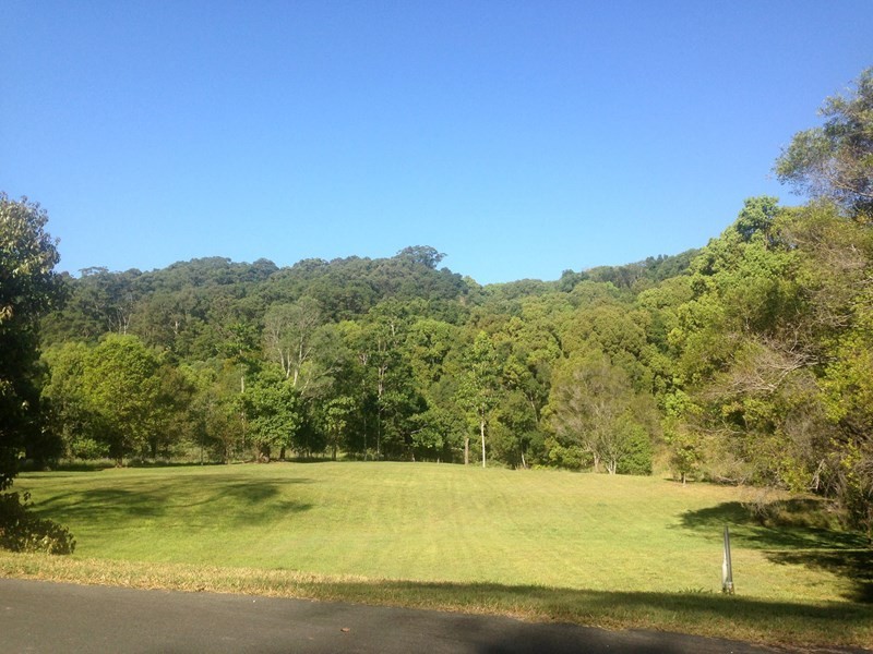 Lot 302 Wongaree Way, Currumbin Valley QLD 4223