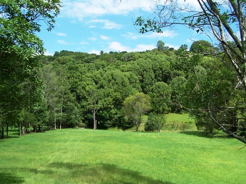 Lot 302 Wongaree Way, Currumbin Valley QLD 4223