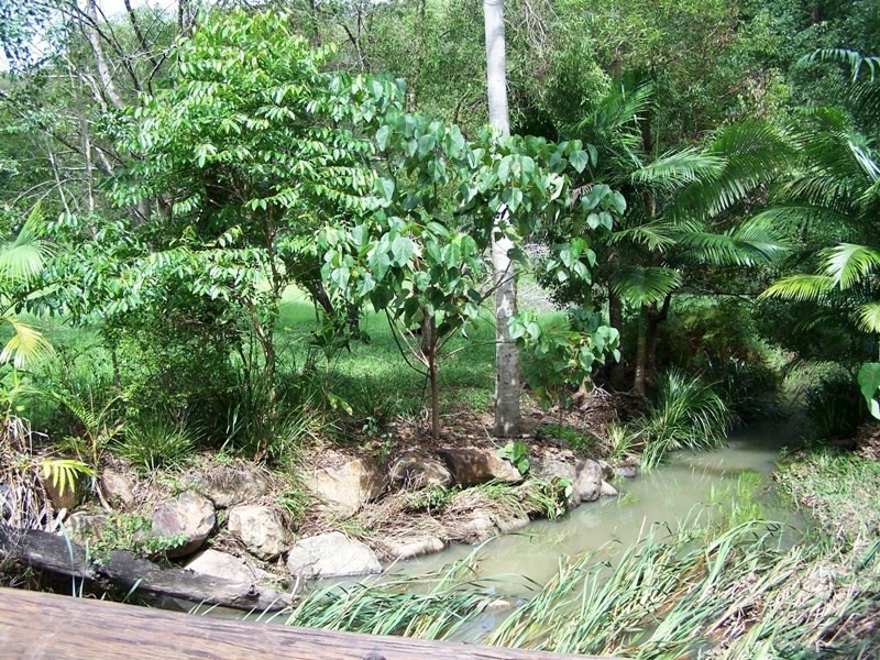 Lot 302 Wongaree Way, Currumbin Valley QLD 4223