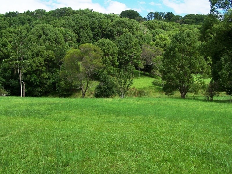 Lot 302 Wongaree Way, Currumbin Valley QLD 4223