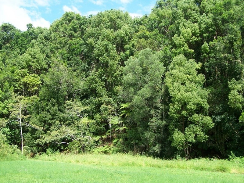 Lot 302 Wongaree Way, Currumbin Valley QLD 4223