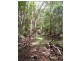 Lot 302 Wongaree Way, Currumbin Valley QLD 4223