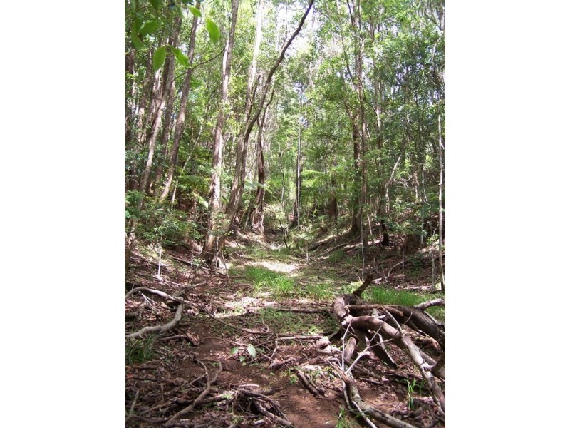 Lot 302 Wongaree Way, Currumbin Valley QLD 4223