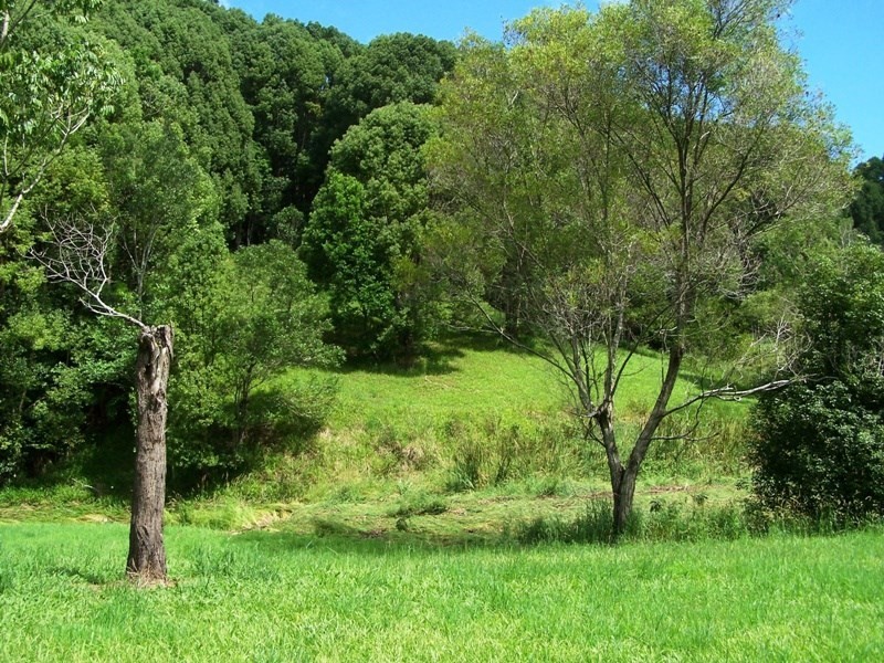 Lot 302 Wongaree Way, Currumbin Valley QLD 4223