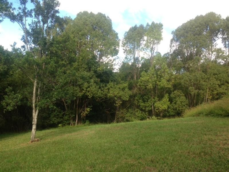 Lot 10, 639 Currumbin Creek Road, Currumbin Valley QLD 4223