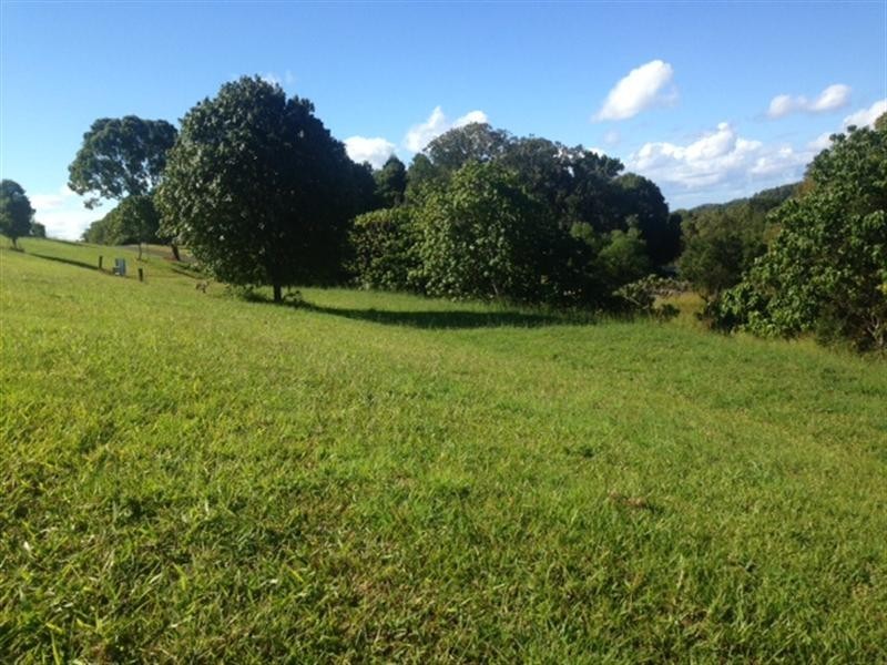 Lot 31, 639 Currumbin Creek Road, Currumbin Valley QLD 4223
