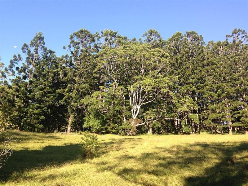 Lot 23 Syndicate Road, Tallebudgera Valley QLD 4228