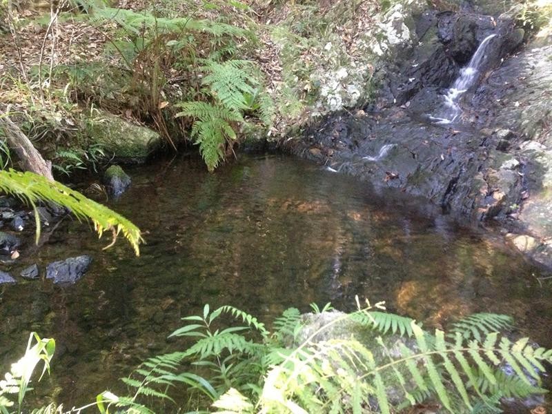 Lot 23 Syndicate Road, Tallebudgera Valley QLD 4228