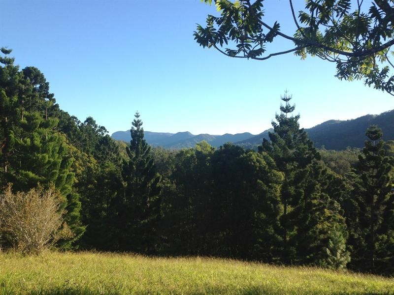 Lot 23 Syndicate Road, Tallebudgera Valley QLD 4228