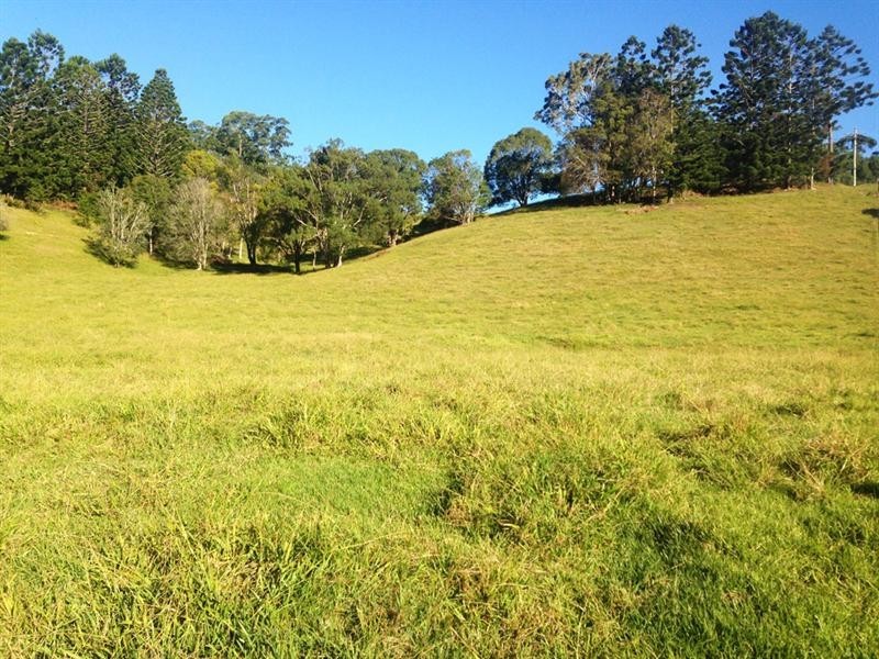 Lot 23 Syndicate Road, Tallebudgera Valley QLD 4228