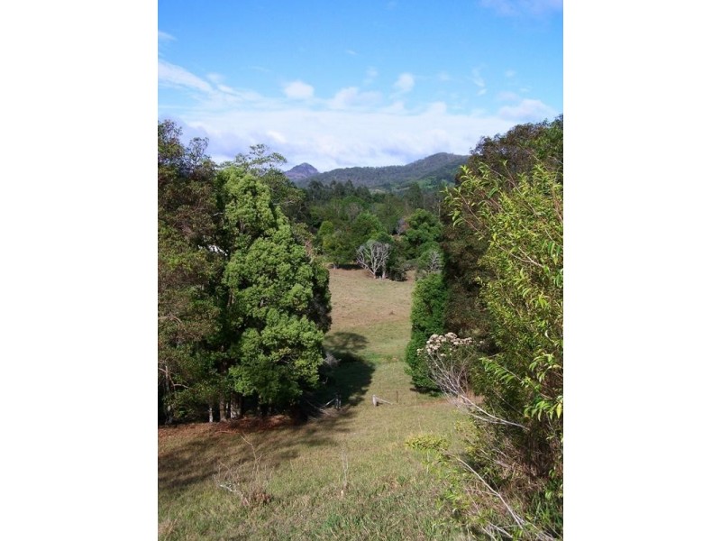 Lot 23 Syndicate Road, Tallebudgera Valley QLD 4228