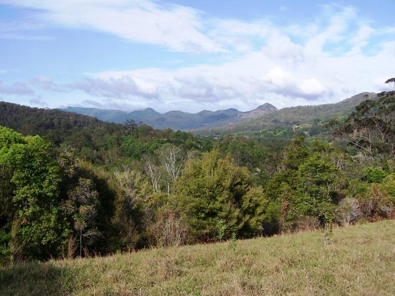 Lot 23 Syndicate Road, Tallebudgera Valley QLD 4228