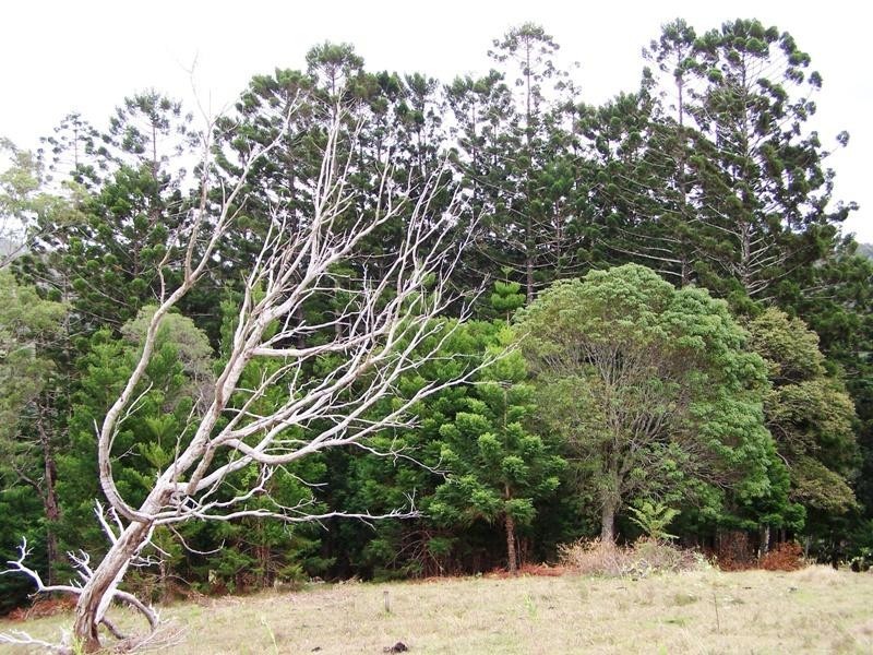 Lot 23 Syndicate Road, Tallebudgera Valley QLD 4228