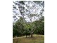 Lot 23 Syndicate Road, Tallebudgera Valley QLD 4228
