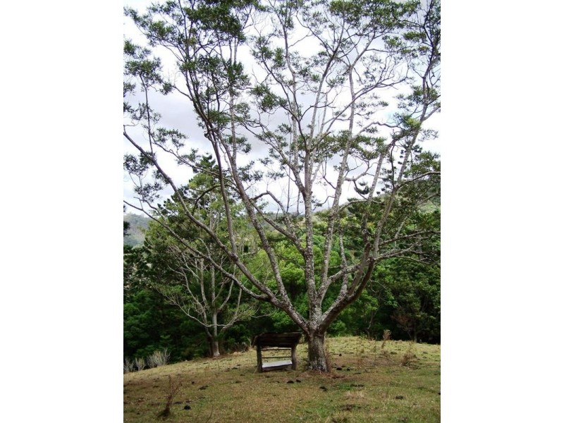 Lot 23 Syndicate Road, Tallebudgera Valley QLD 4228