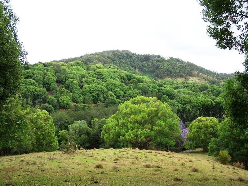 Lot 23 Syndicate Road, Tallebudgera Valley QLD 4228