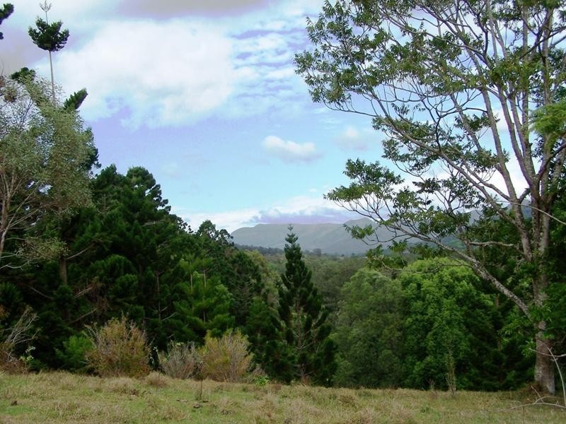 Lot 23 Syndicate Road, Tallebudgera Valley QLD 4228