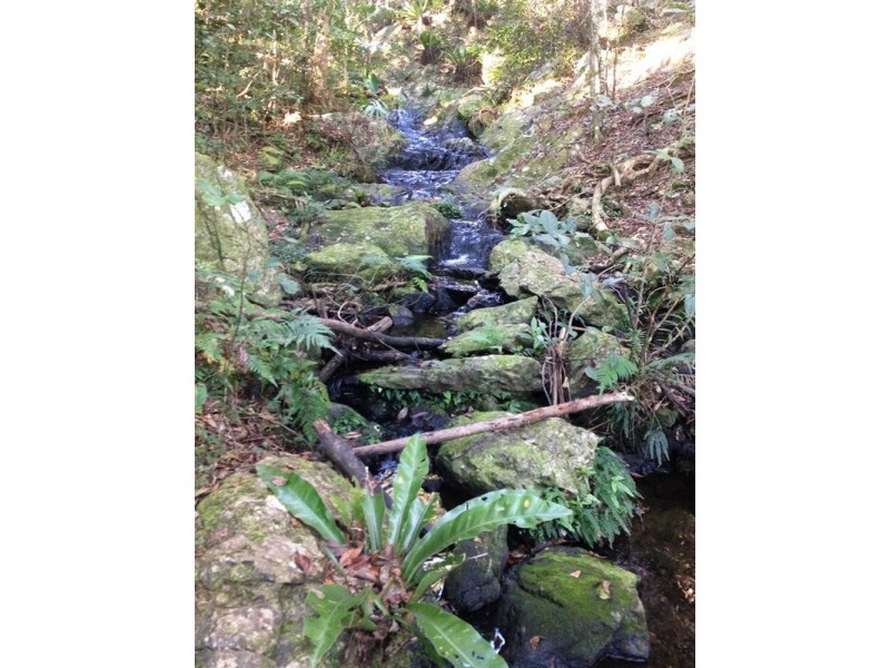Lot 23 Syndicate Road, Tallebudgera Valley QLD 4228