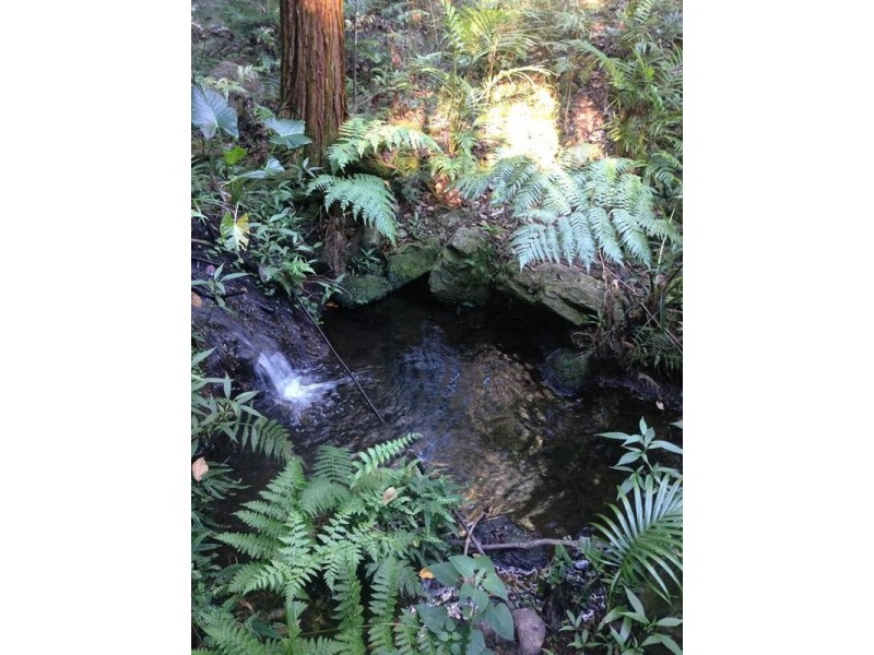 Lot 23 Syndicate Road, Tallebudgera Valley QLD 4228