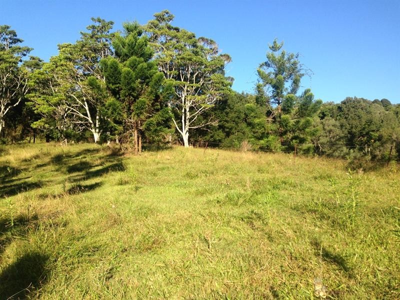 Lot 23 Syndicate Road, Tallebudgera Valley QLD 4228