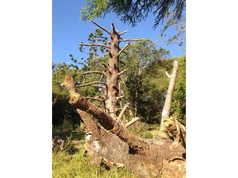 Lot 23 Syndicate Road, Tallebudgera Valley QLD 4228