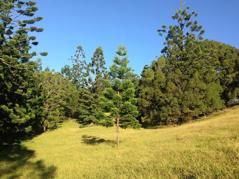 Lot 23 Syndicate Road, Tallebudgera Valley QLD 4228