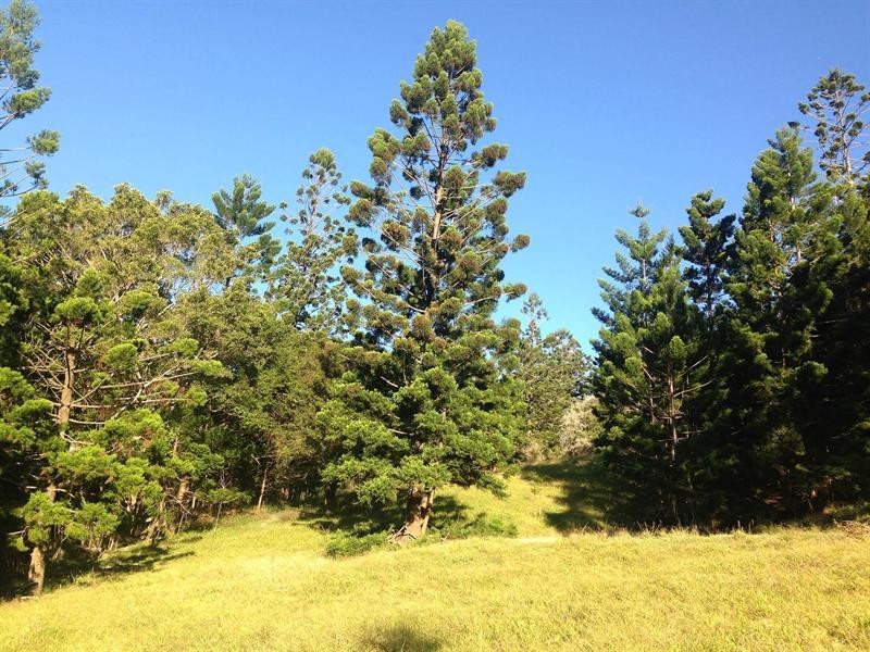 Lot 23 Syndicate Road, Tallebudgera Valley QLD 4228