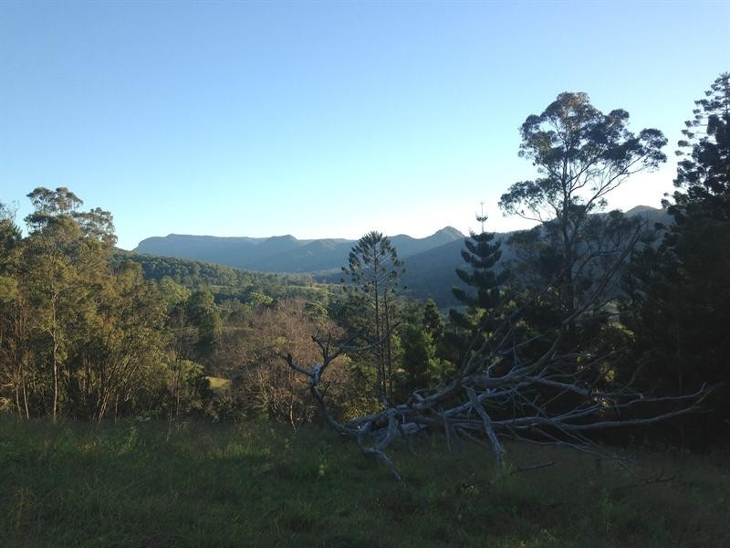Lot 23 Syndicate Road, Tallebudgera Valley QLD 4228