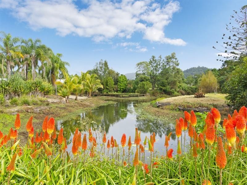 507 Currumbin Creek Road, Currumbin Valley QLD 4223