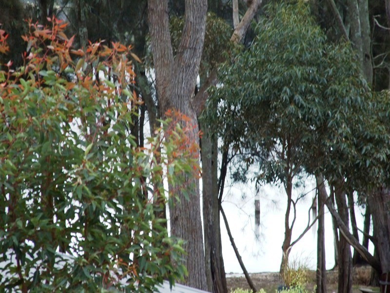 Kings Point NSW 2539