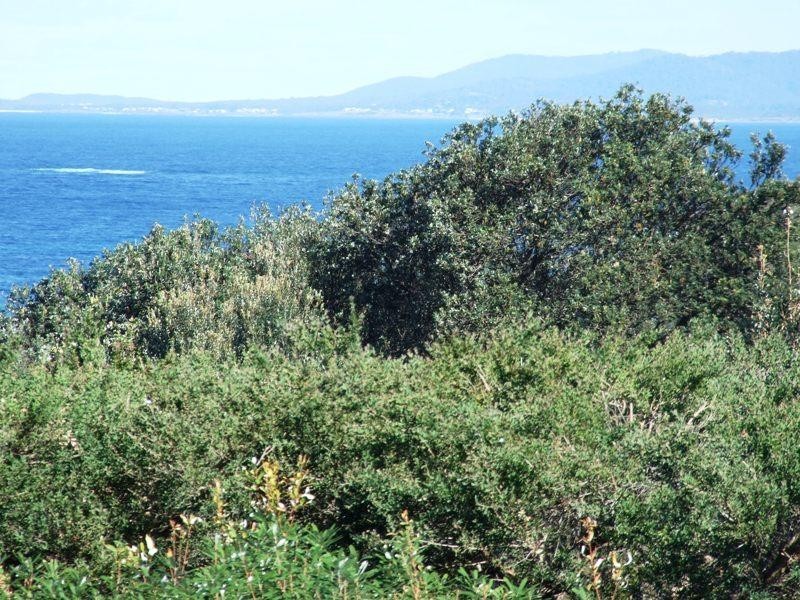 50 Parson Street, Ulladulla NSW 2539