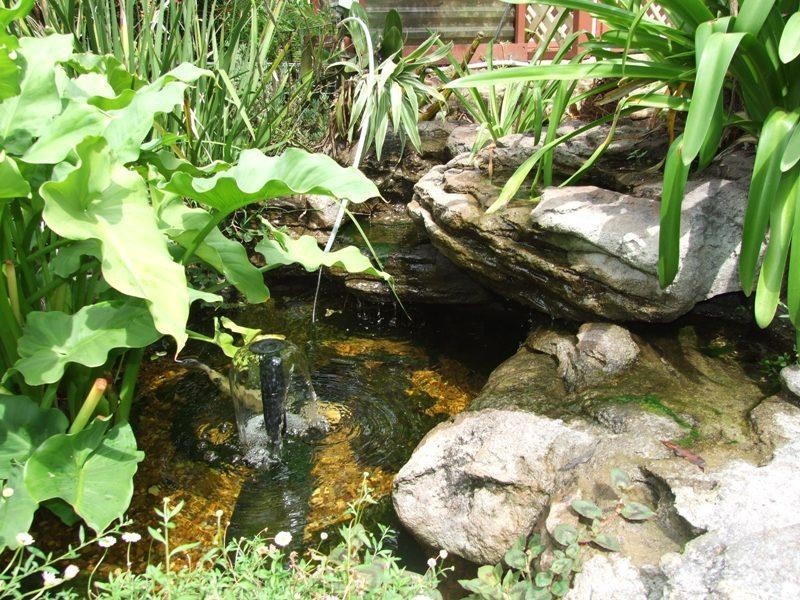 Narrawallee NSW 2539