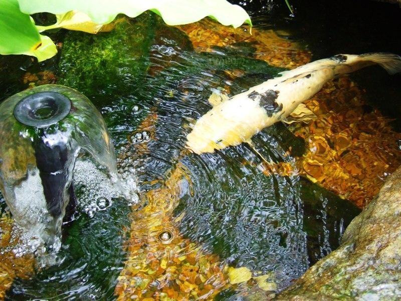 Narrawallee NSW 2539