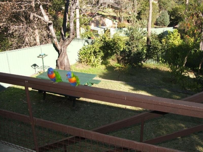11 Ross Avenue, Narrawallee NSW 2539