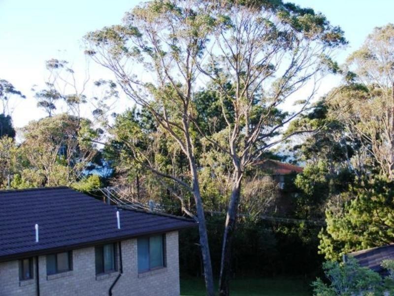 Mollymook NSW 2539