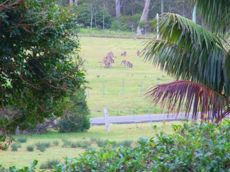 Kioloa NSW 2539