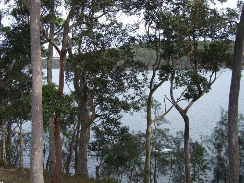 Kings Point NSW 2539