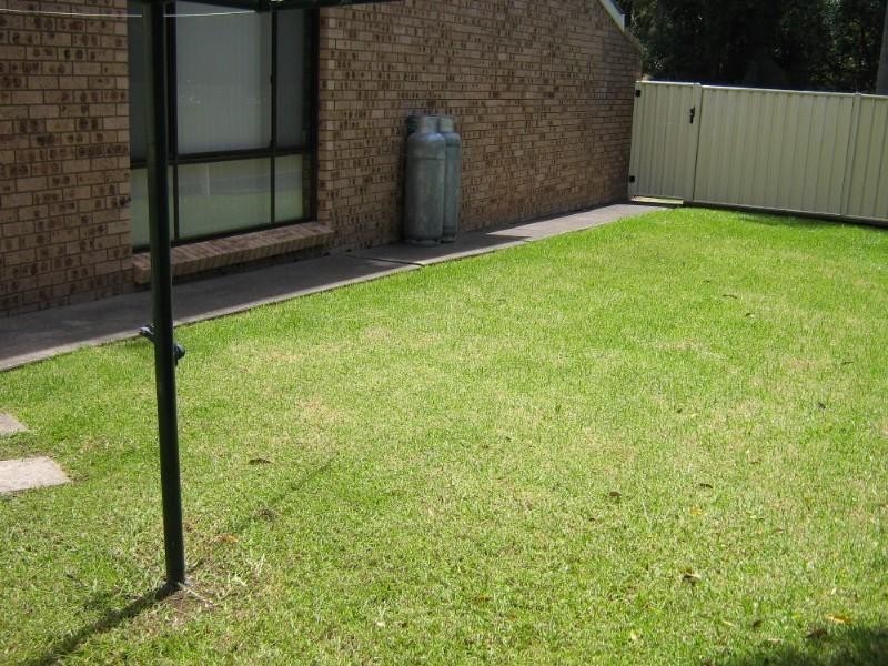 5/14 Davies Street, Mollymook NSW 2539