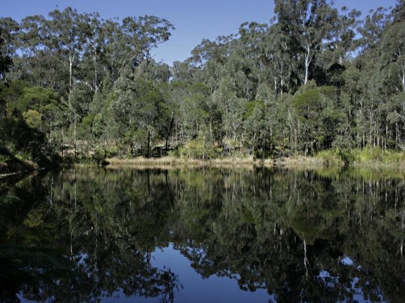 176 Bawley Point Road, Termeil NSW 2539