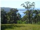 Milton NSW 2538