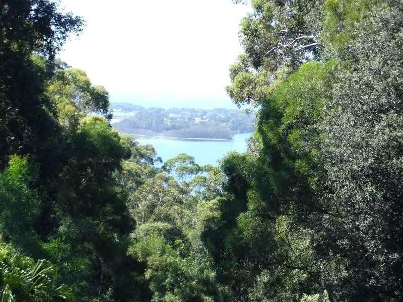 Milton NSW 2538