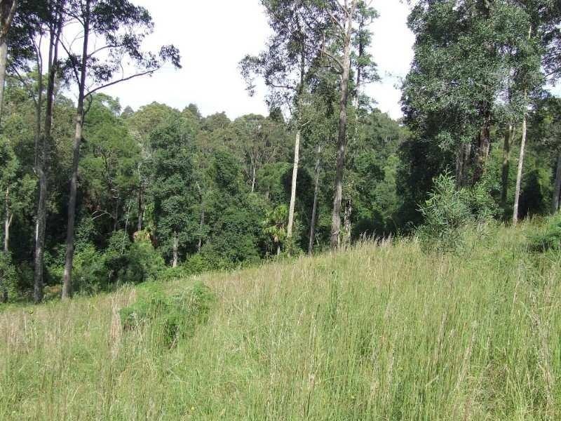 Milton NSW 2538