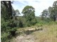 Milton NSW 2538